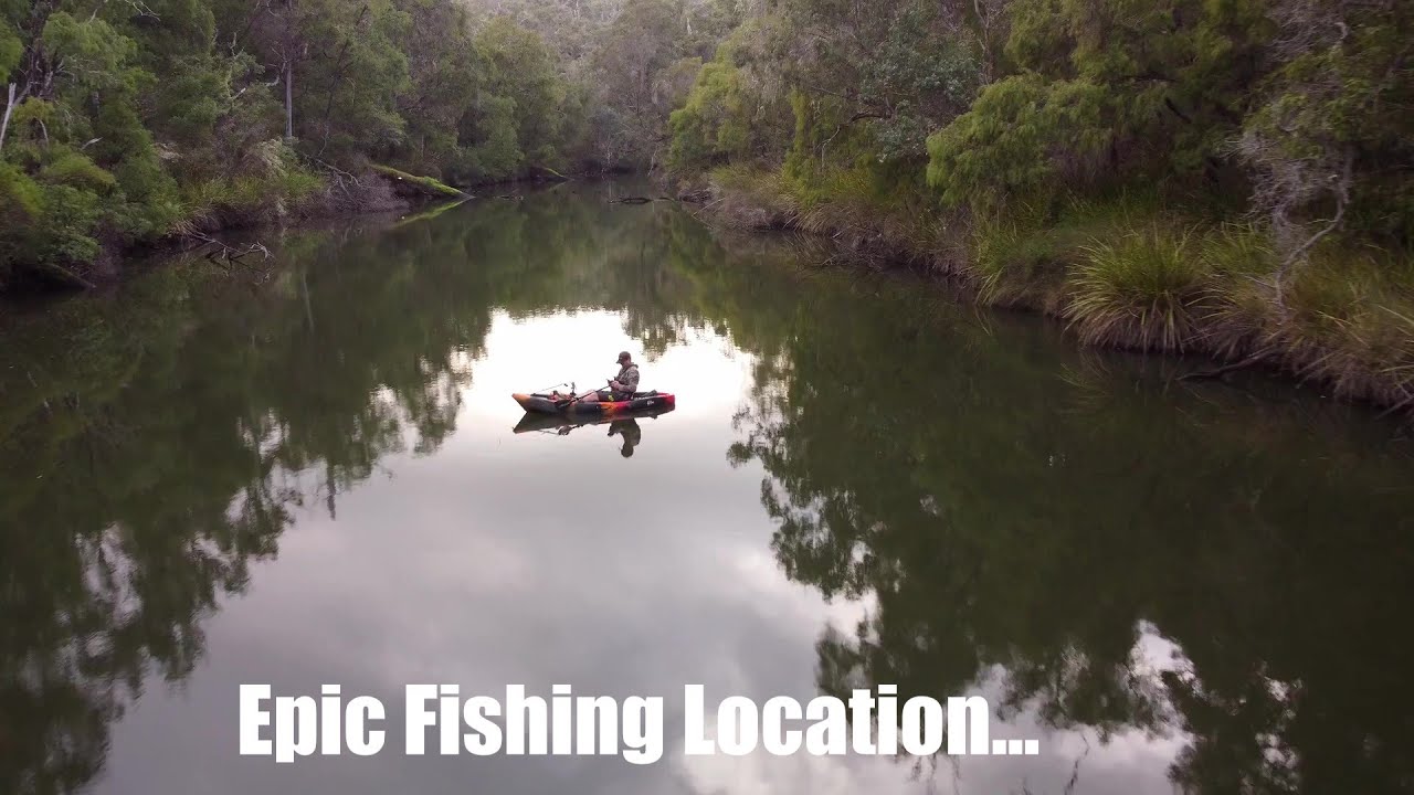 I Caught a Huge Fish From My Kayak!