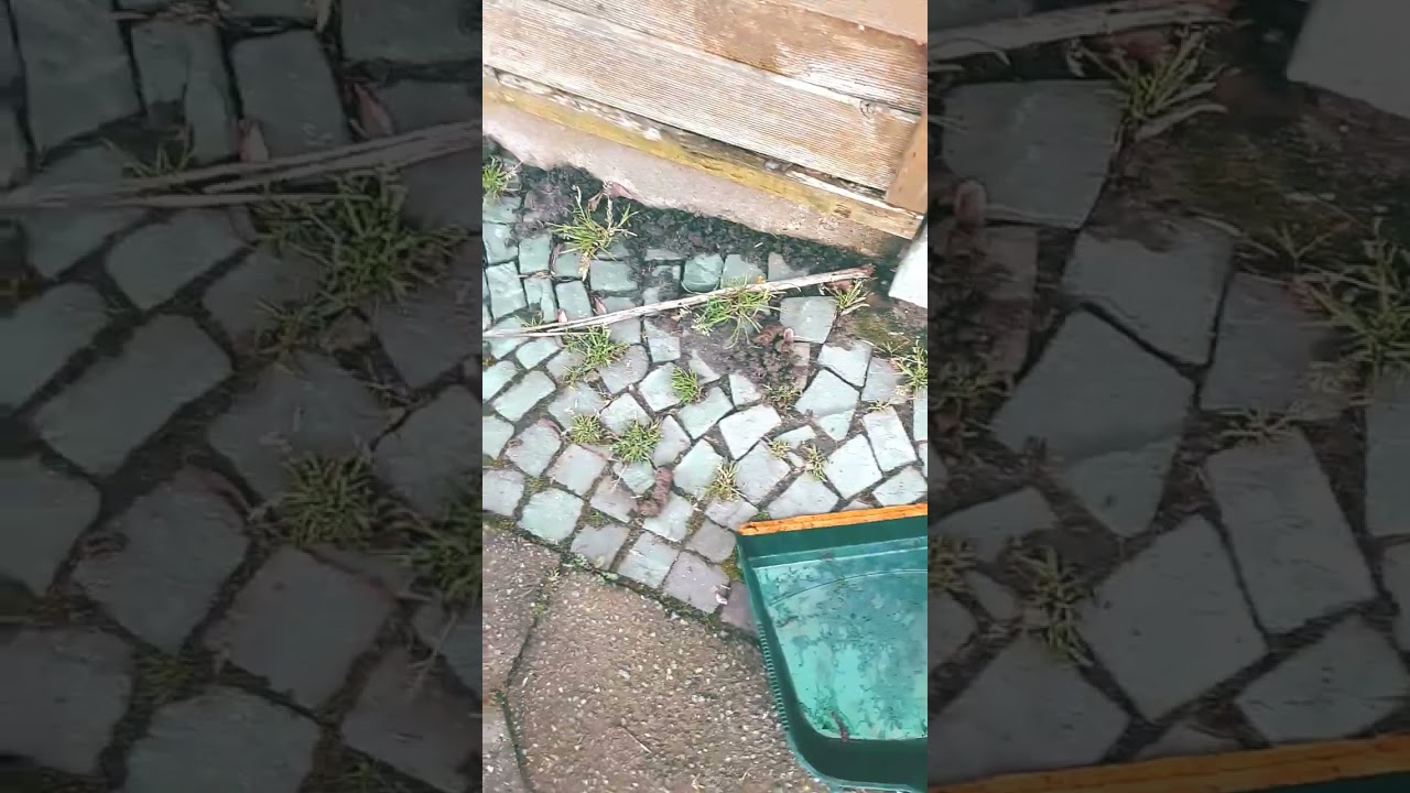 räumt euer müll weg