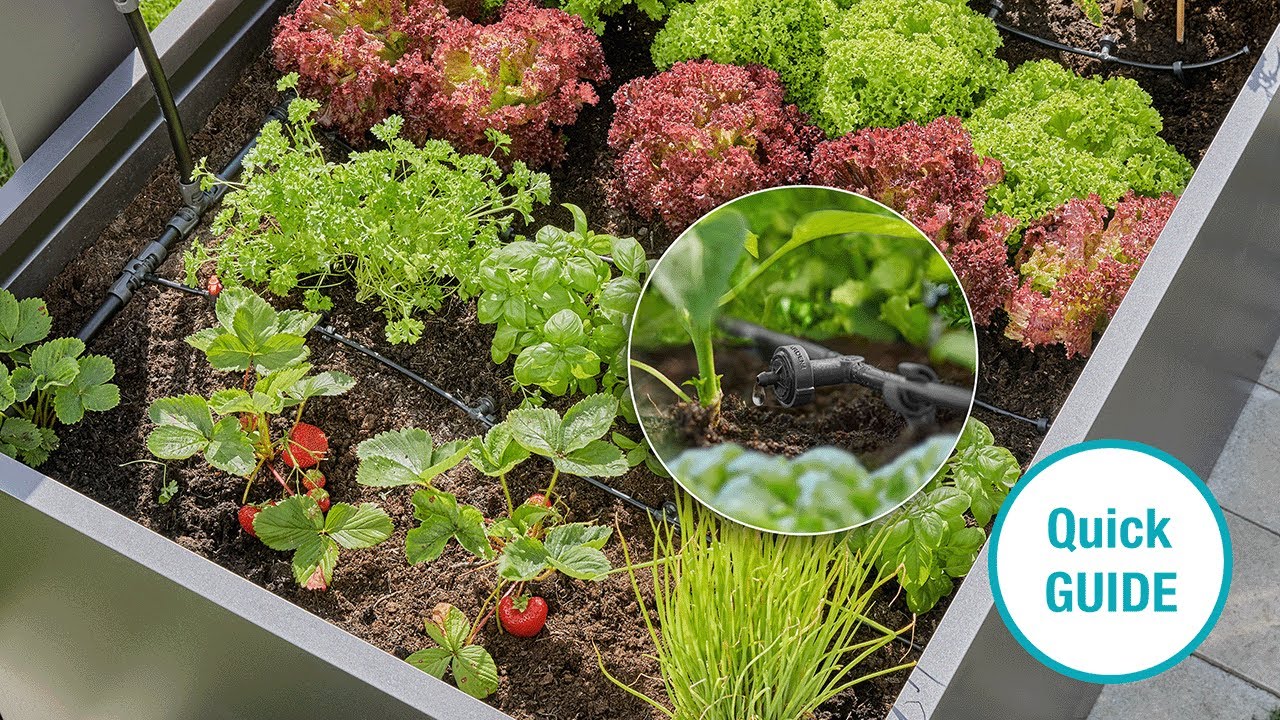 Das GARDENA Micro-Drip-System: Tropfbewässerung Set Hochbeet/Beet