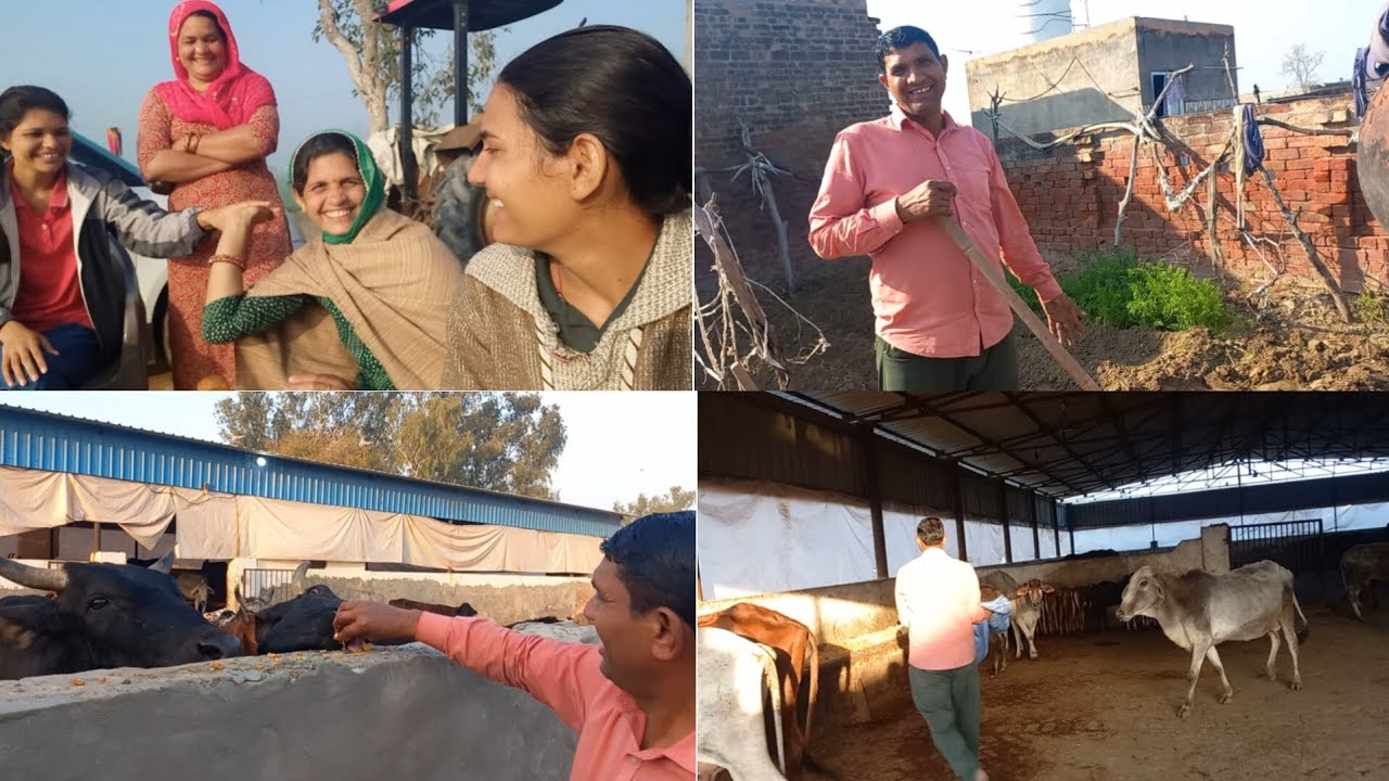 16-02-26 ||🤔 आज अचानक क्यों गए गौशाला || BhaRti 