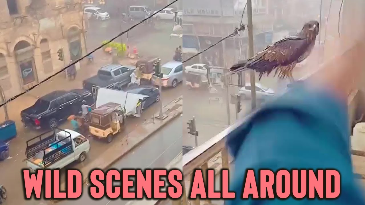 Huge Windstorm in Karachi, Pakistan || WooGlobe