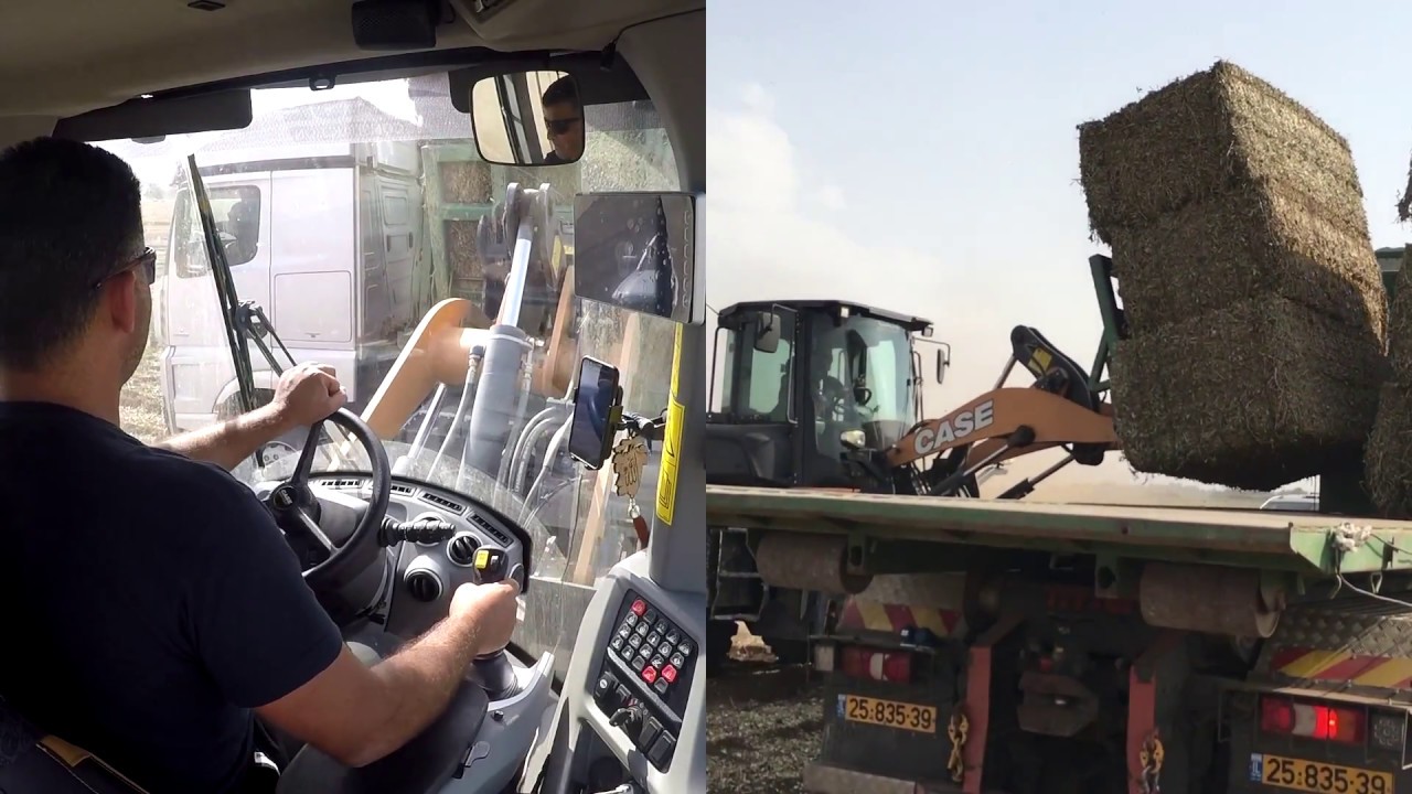 CASE 521G wheel loader at work at Gag Fodder Company