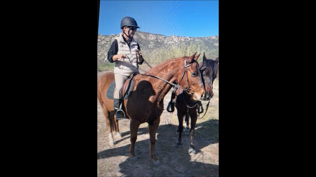 Trail Ride by Sharlyn