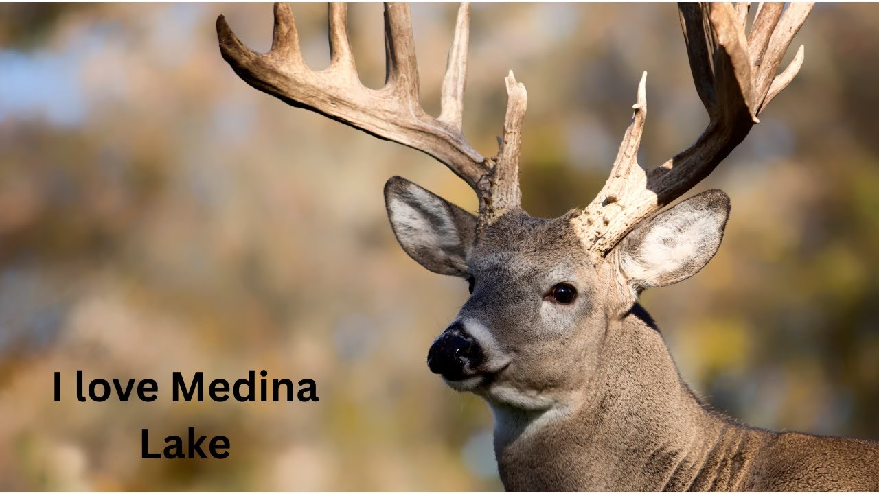 Lake Medina Thousand Trails