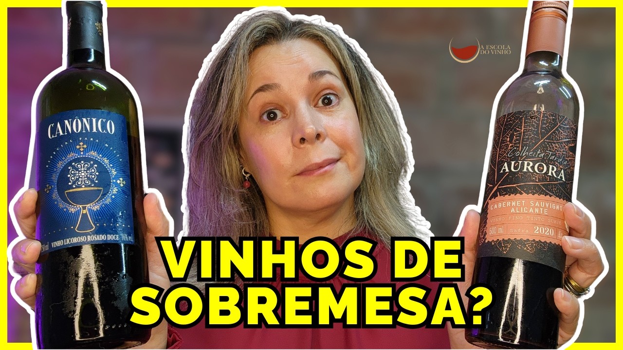 Vinho SALTON CANÔNICO Vs. Vinho AURORA COLHEITA TARDIA TINTO: Dá Para COMPARAR?