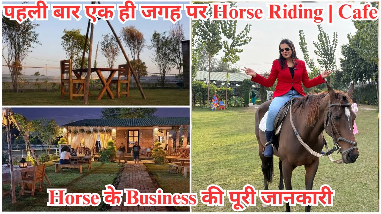 पहली बार Faridabad में Amazing Food के साथ Horse Riding भी | Horse के Business से कैसे पैसा कमाए