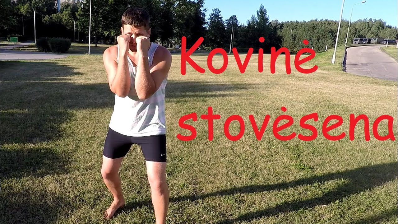 Kovinė stovėsena