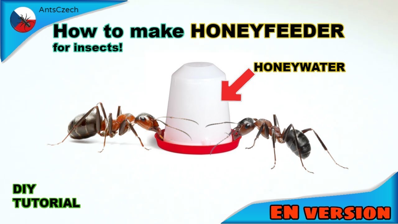 How to make Honey feeder! [EN version]