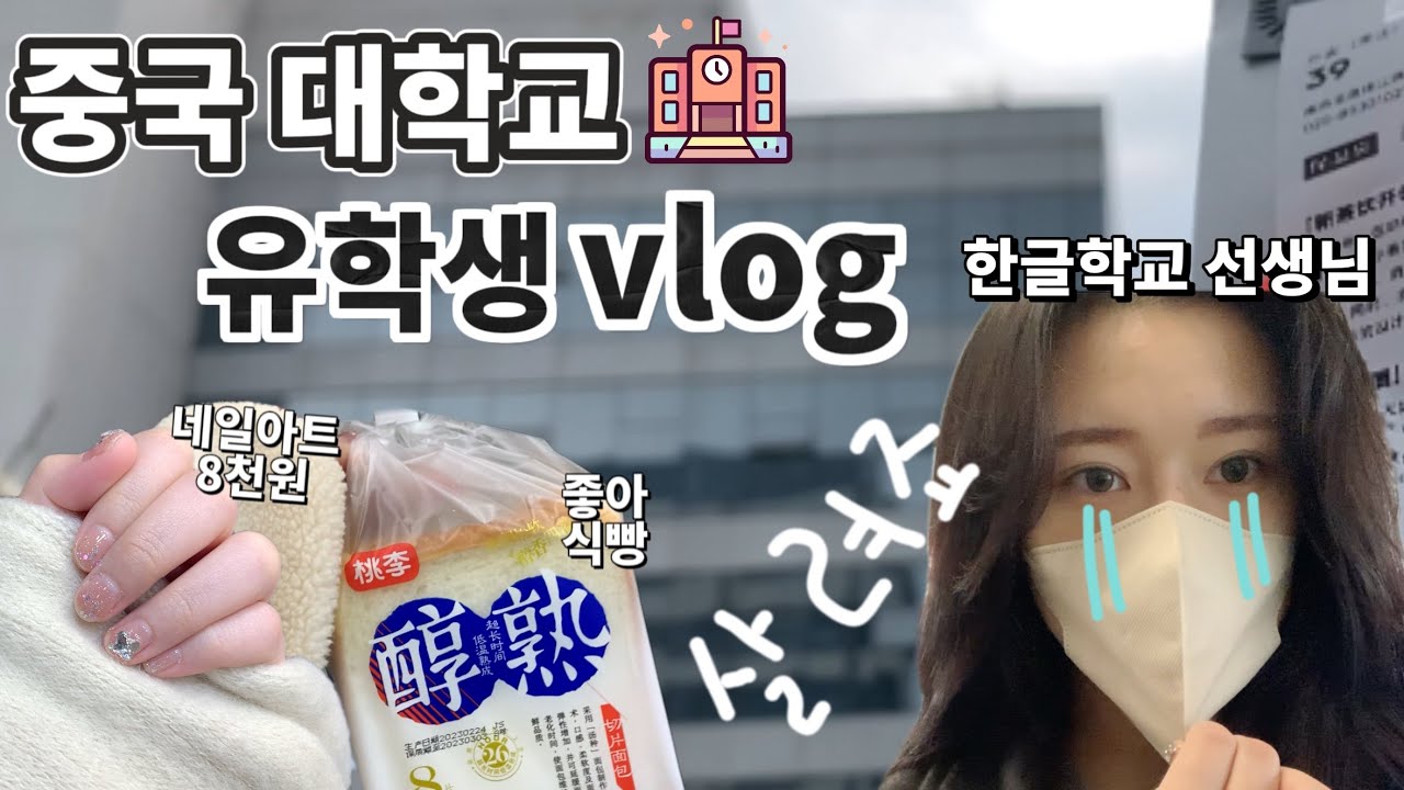 🇰🇷vlog | 中文 | 난징대학교 | 중국에있는 한글학교 | 중국 유학생의 평범한듯 평범하지않은 하루들