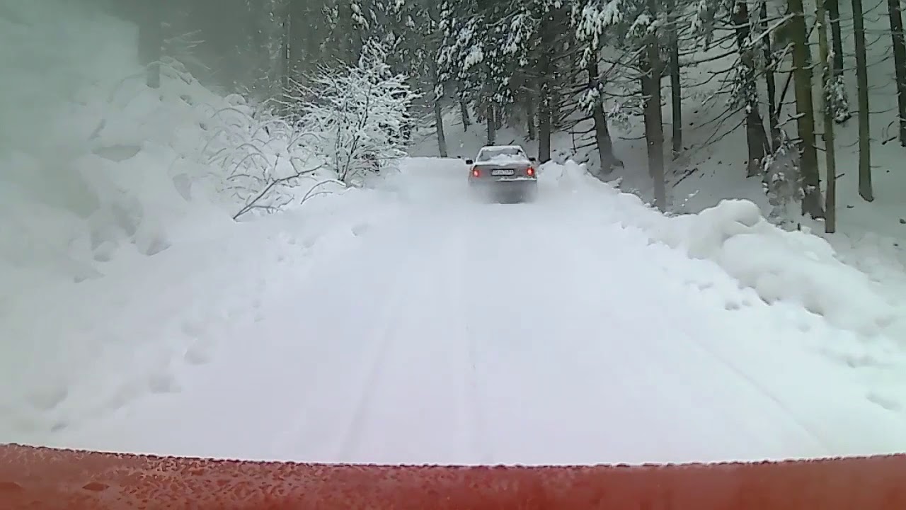 SMREKOVICA 2019