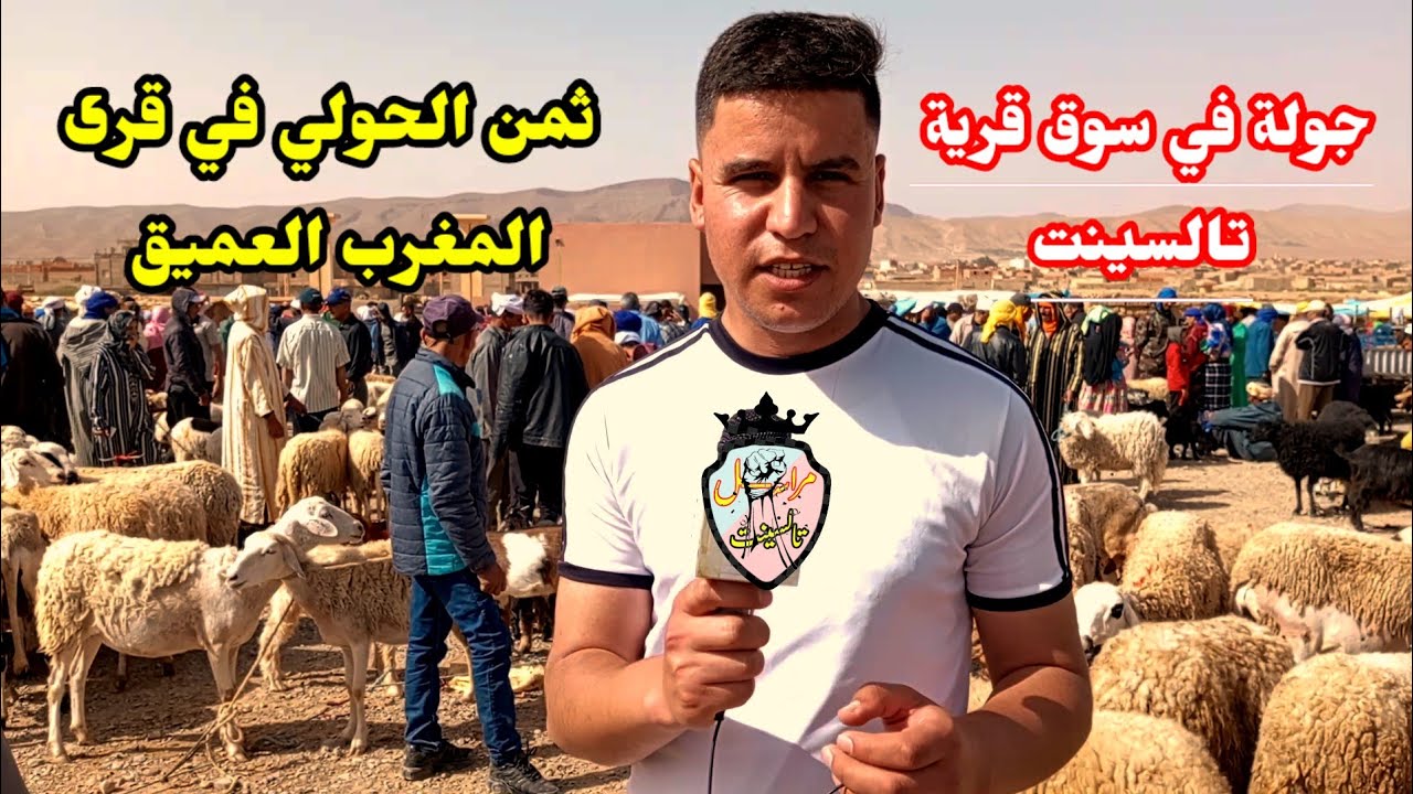 بعيدا عن سوق المدن..اجي تشوف الثمن في مناطق المغرب العميق فين واصل..سوق المواشي اليوم في المغرب
