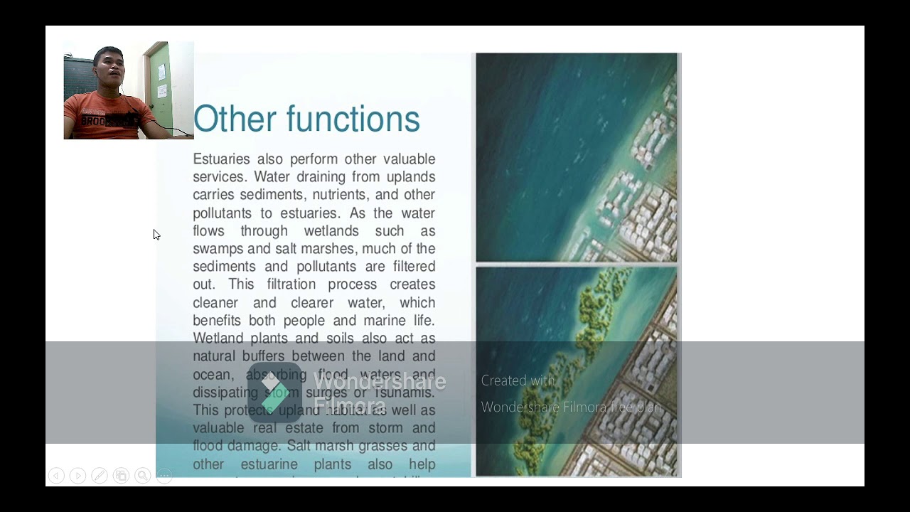 estuary presentation