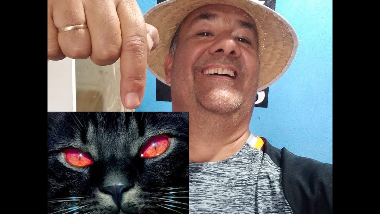 O CAUSO DA TAPERA ASSOMBRADA VIGIADA POR UM GATO PRETO