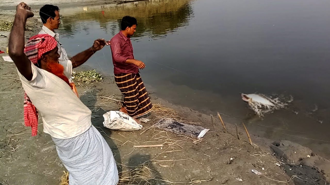 নদীতে বোয়াল মাছ ধরা | Best Hook Fishing | Catching Boal Fish