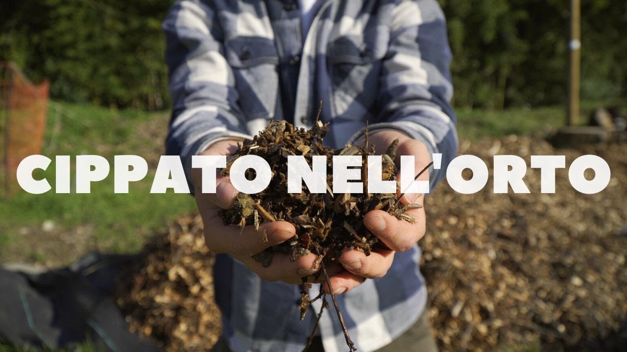 CIPPATO NELL'ORTO, I 3 ERRORI CHE NON DEVI FARE