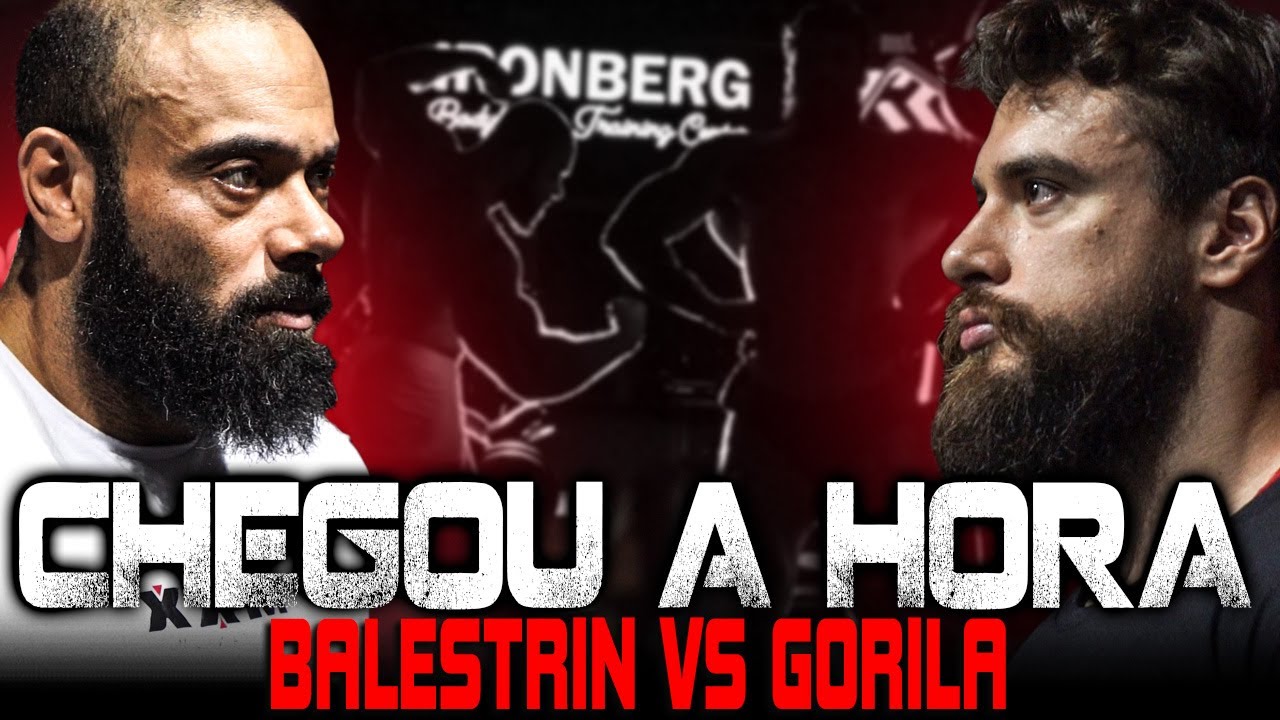 BALESTRIN VS GORILA - CHEGOU A HORA