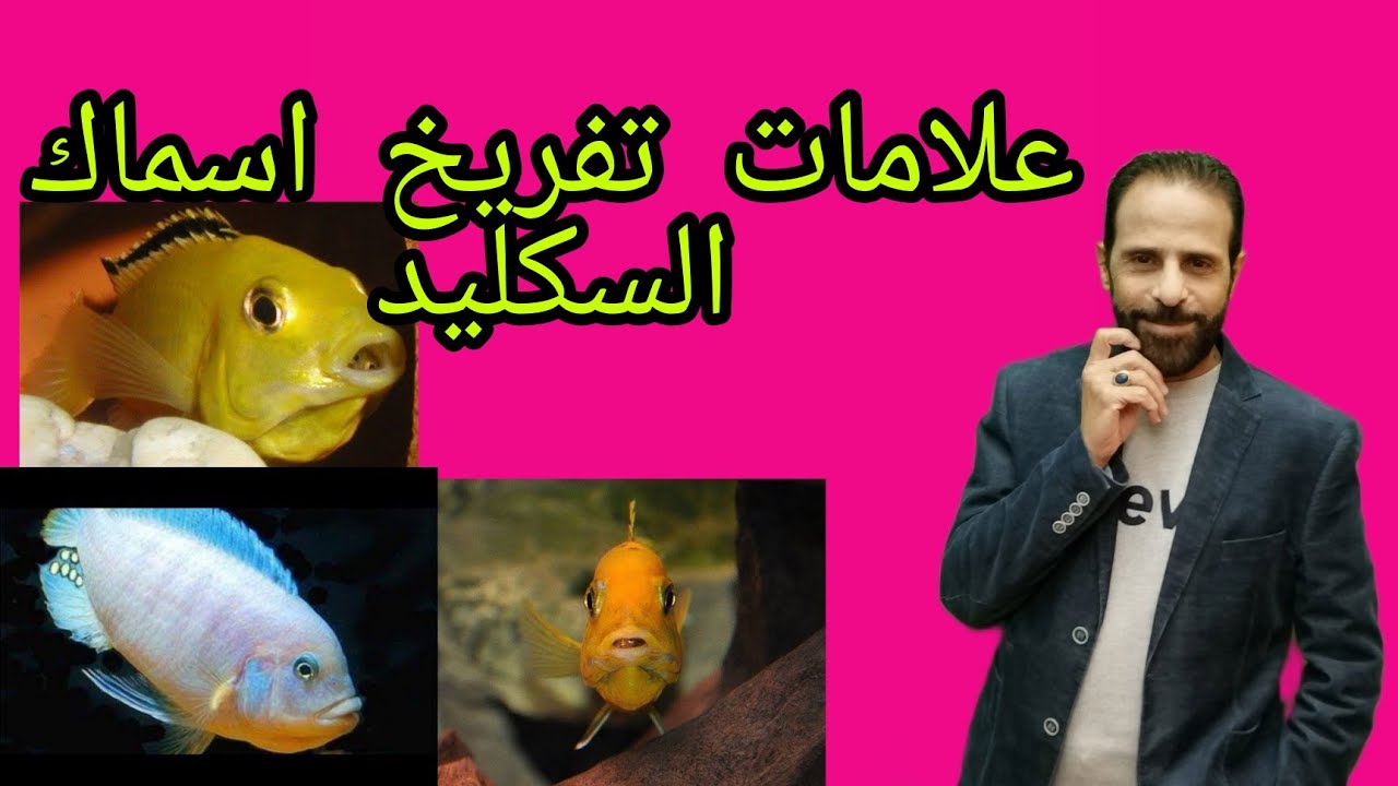 علامات وقت تفريخ اسماك السكليد@