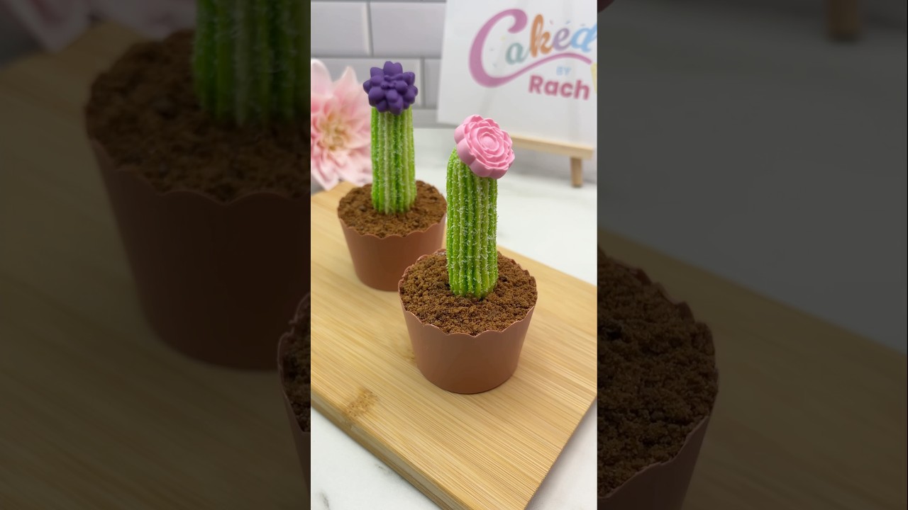 Cactus cake pots🌵🧁 #cakedbyrach #cakedecoration #cupcake #cactus #cupcakeideas #shortsfeed #baking