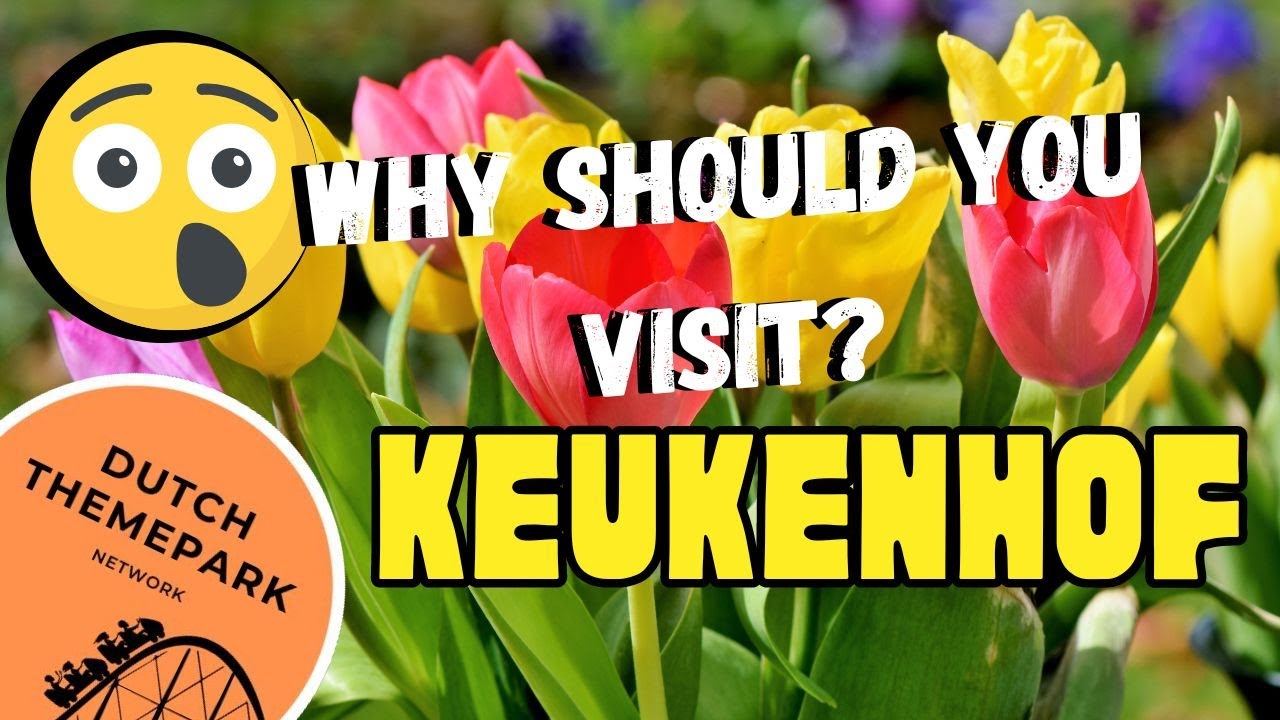 Is Keukenhof Worth A Visit in 2025?