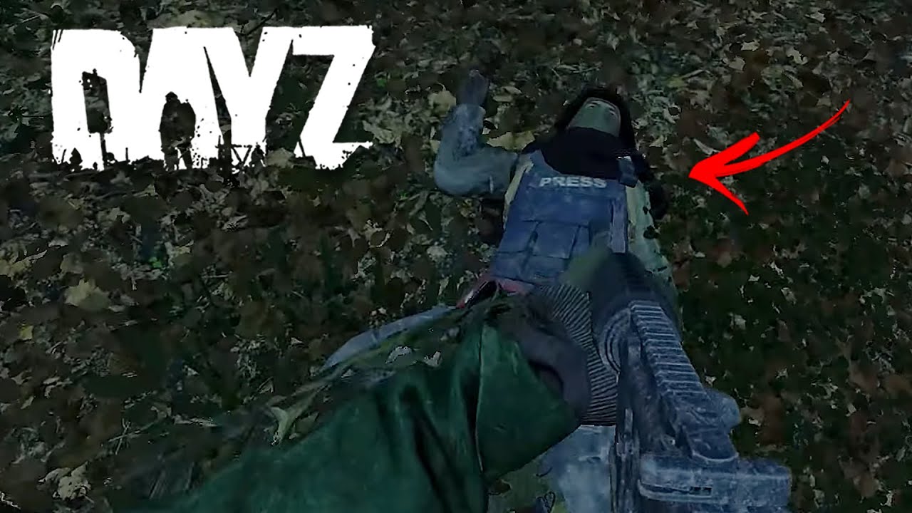 ESSES PLAYERS ESTAVAM CHEIRANDO A HACKER - DayZ