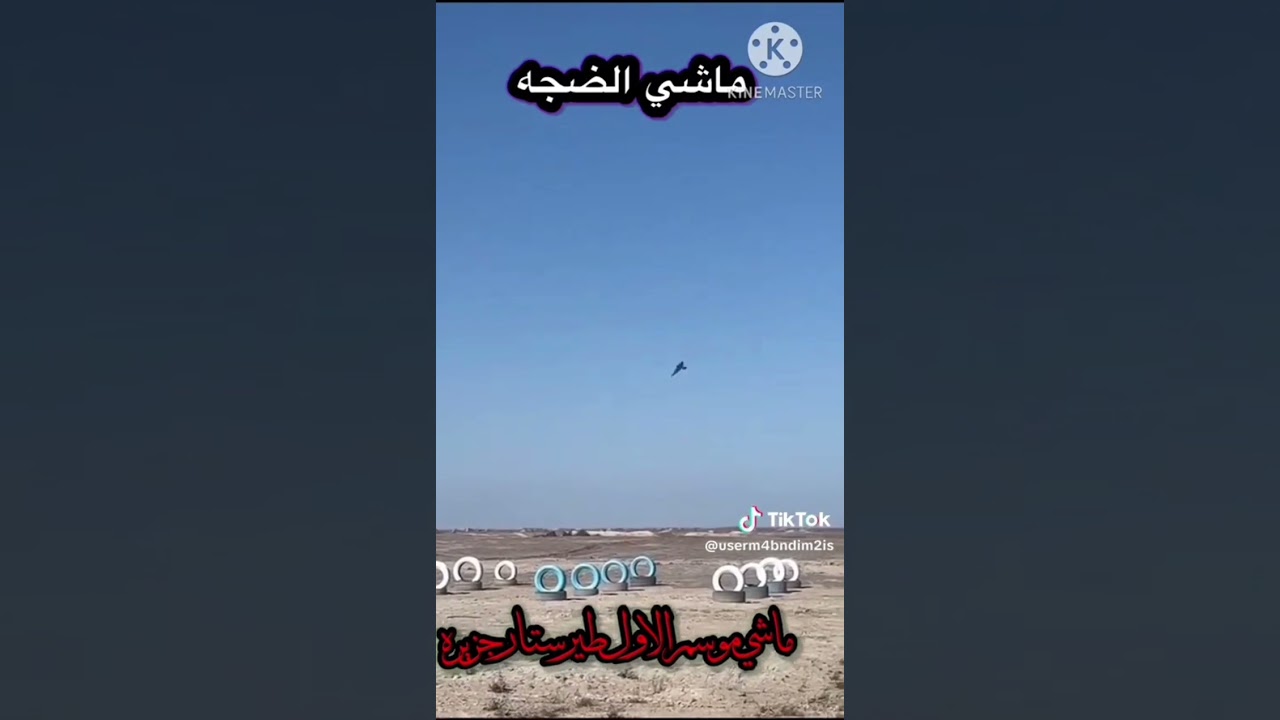 حمام لوت هل الهوي يحدد نوع لوت الطير ؟