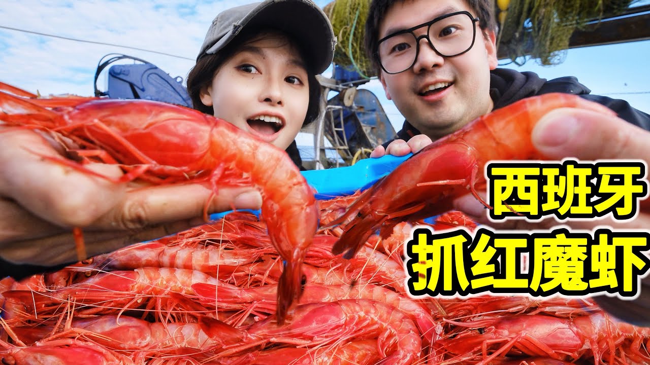 西班牙抓红魔虾，一只200元，今天能赚多少钱？| 红魔虾 | 捕捞 | 西班牙 | 赶海 | 海鲜 |
