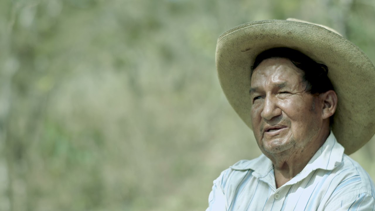 ProInnóvate | Documental Un gigante con fibra