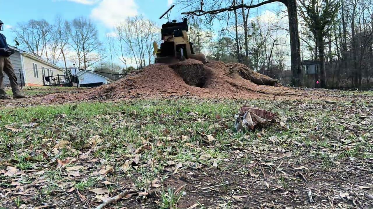 Watch This Massive Oak Stump Disappear! | Boone&rsquo;s Stump Grinding in Action