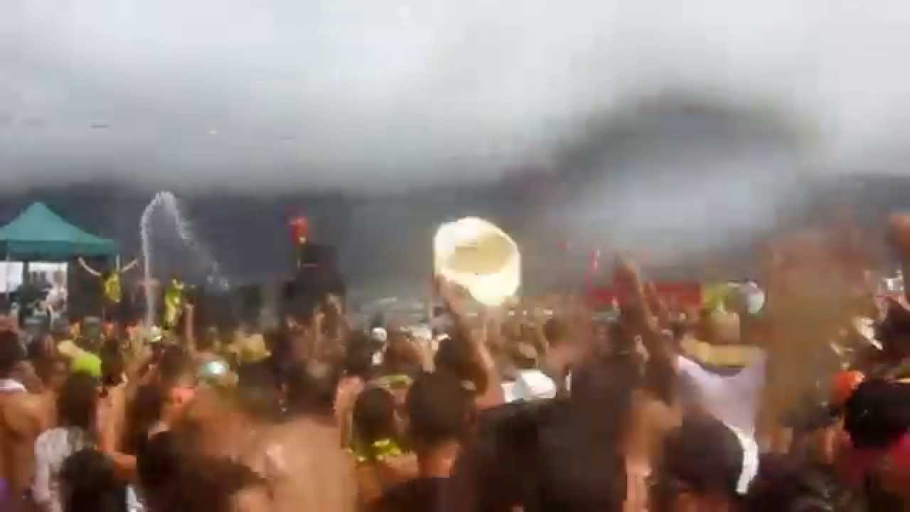 Verbena del agua - Famara 2014