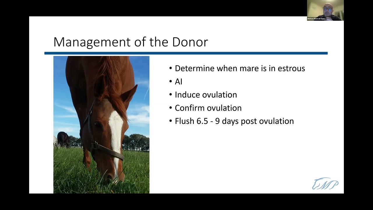 Dr. Gomez Webinar Part 4: Embryo Transfers