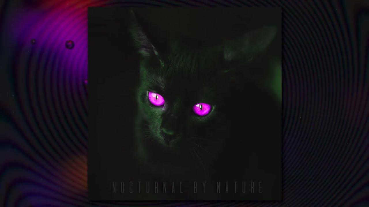 Cinematic Hip Hop Dub Instrumental | DON'T FORCE IT - Space Leopard