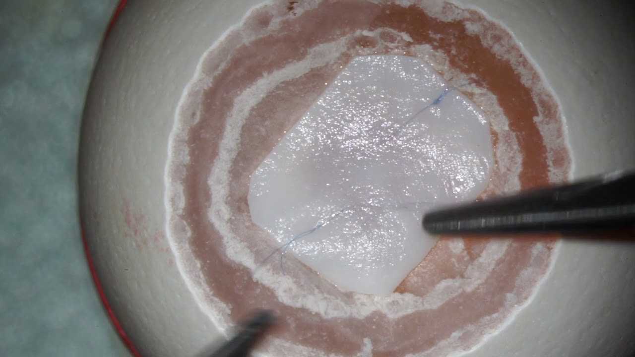 Microsurgical training model
