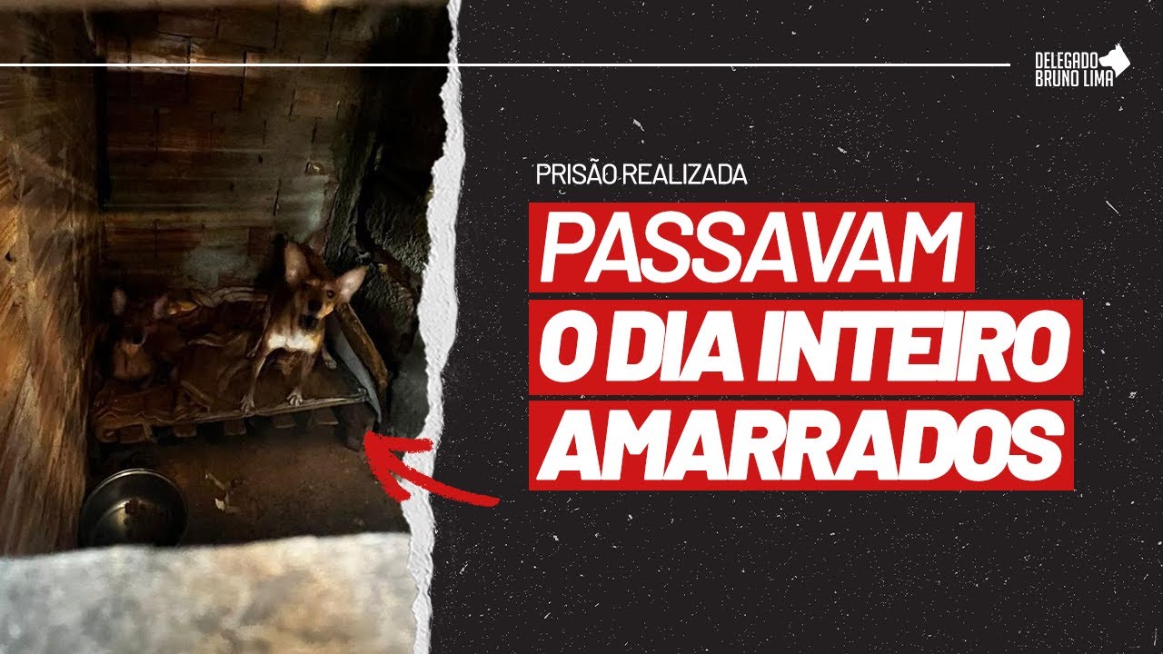 INACREDITÁVEL AONDE ELES VIVIAM! 😡