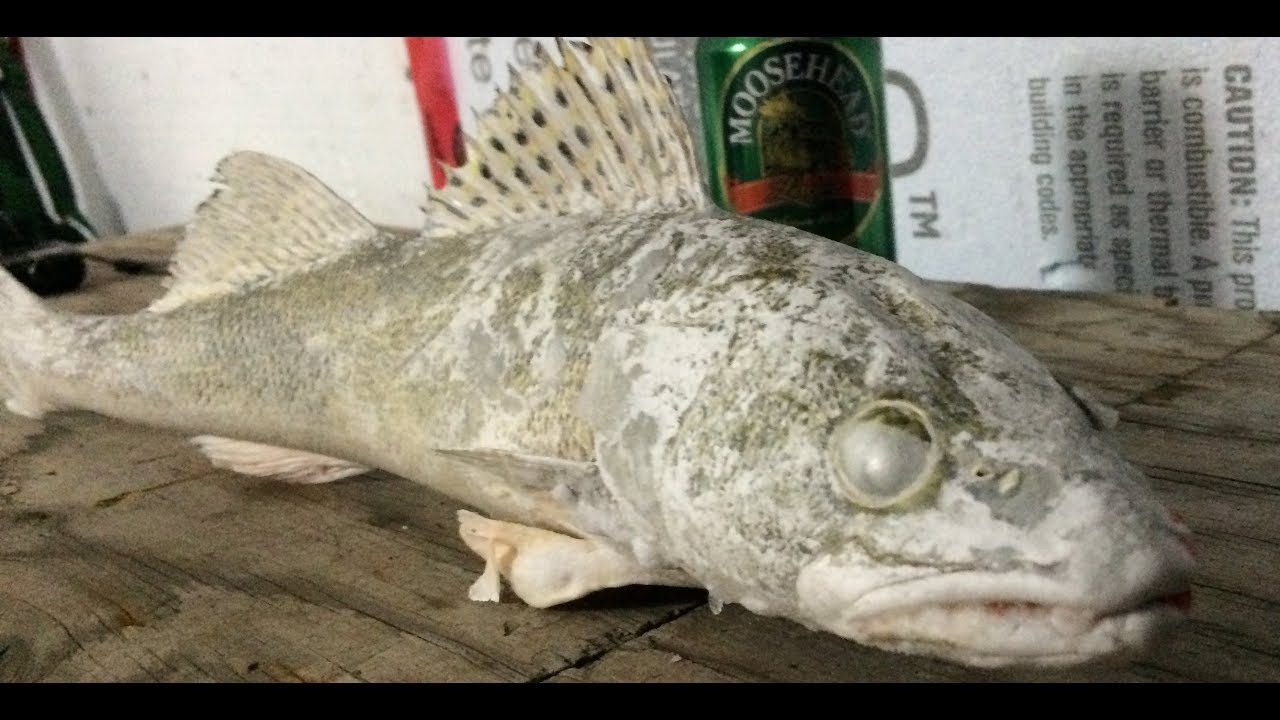 FREEZING COLD!!! First Few Days Of Ice Fishing In Quebec, Canada