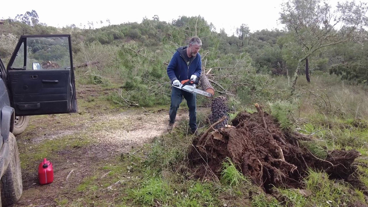 Уборка и восстановление нашего португальского дома после шторма. Кристин