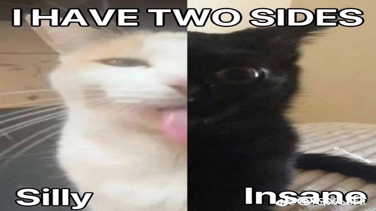 Geheime Plump Tech (Welche Plump Tech) || Purrely Deck Profile