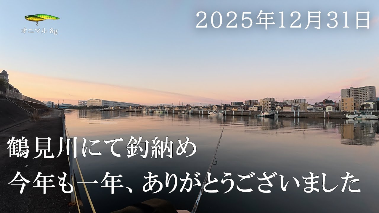 鶴見川にて釣納め。ノーフィッシュでした【不定期投稿 今日の鶴見川 2025年12月31日】シーバス釣りVlog （ホゲ）