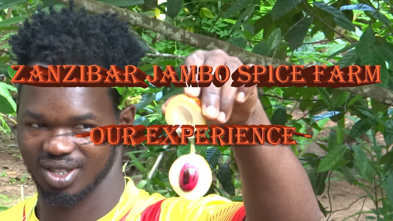 Zanzibar Jambo Spice Farm - Our experience