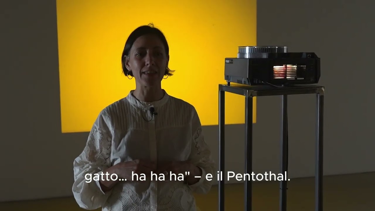 ROSSELLA BISCOTTI - TITLE ONE, I DREAMT, CLARA AND OTHER STORIESA cura di Marianna Vecellio