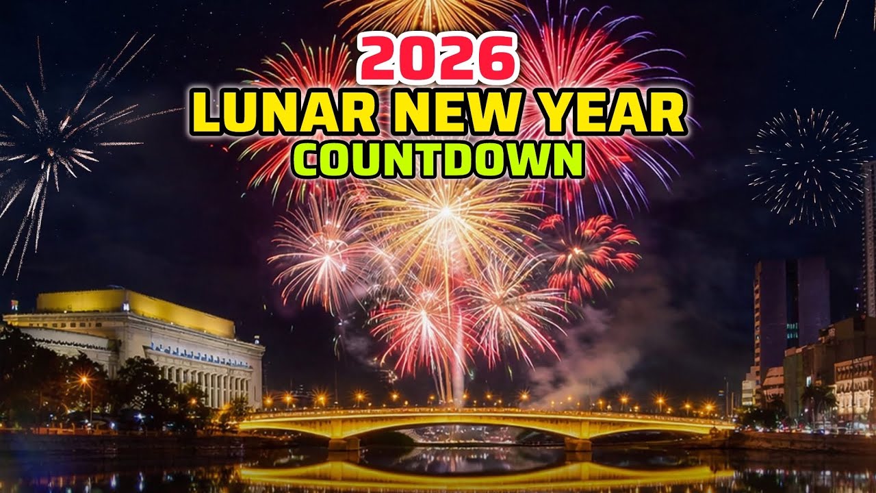 2025 LUNAR NEW YEAR COUNTDOWN! 