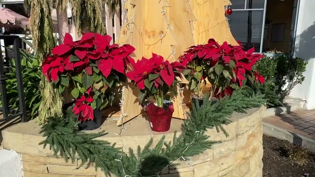 AIDA Weltreise 2025/26  VLOG 20  Santa Barbara (USA)