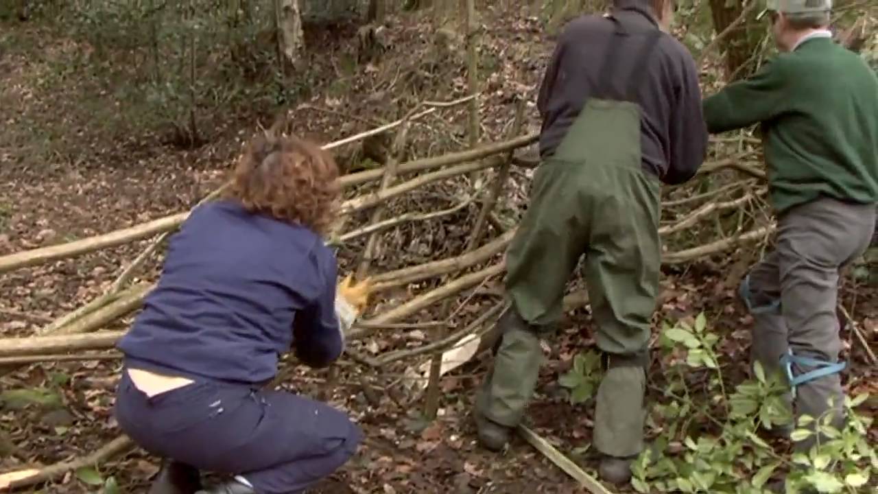Hedge Laying Training at Jerusalem Farm