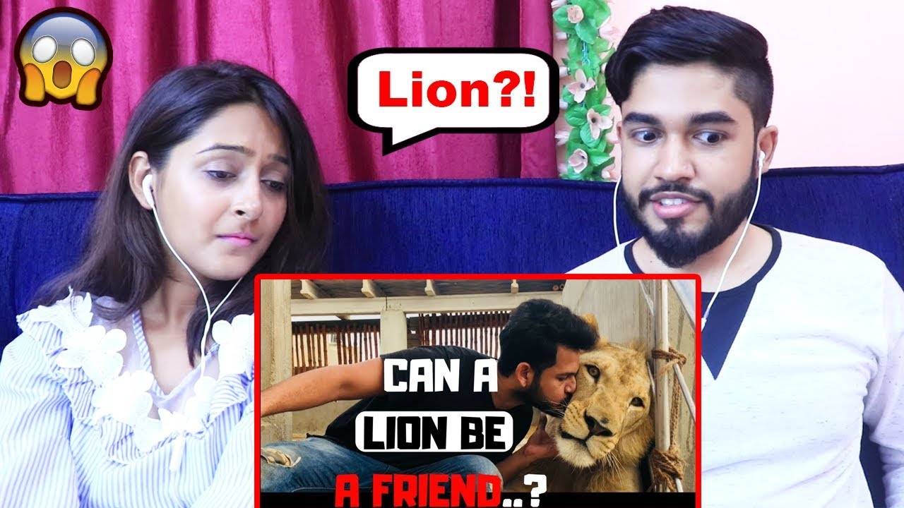 INDIANS react to When Wild Animal Becomes Friend | Azlan Shah | Vlog