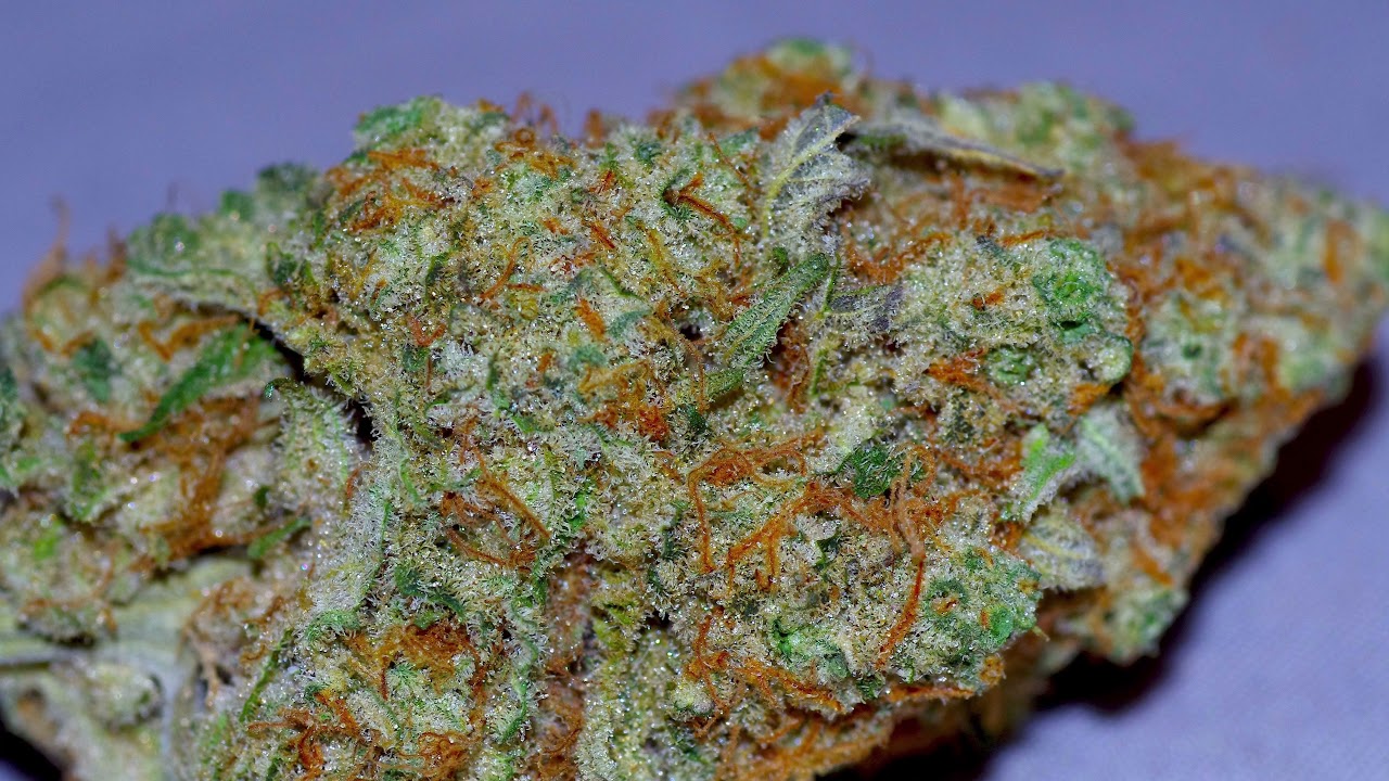 Cannacentric Recurring Pickups Ep 5- Revolution Cookie Dos
