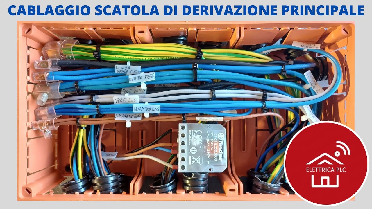 *19* CABLAGGIO SCATOLA DI DERIVAZIONE PRINCIPALE (QUADRO ELETTRICO 6 kw 