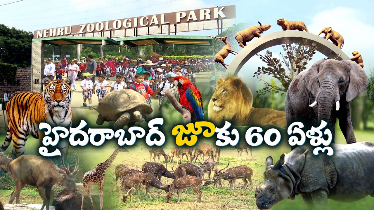 60 Yrs Of Nehru Zoological Park | Special Look on Zoo Park || Idi Sangathi