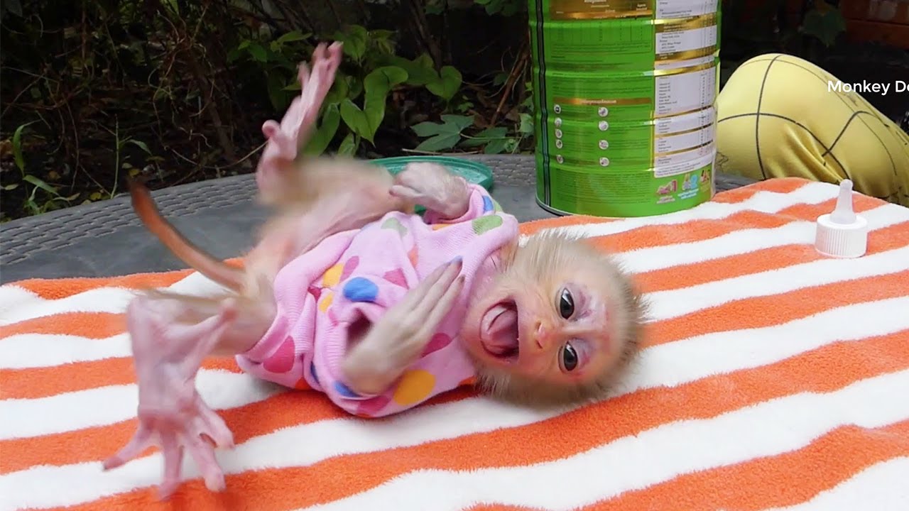 Most Cutest Newborn Zuji SuckingThumb CryWaiting Mom Mixed Milk