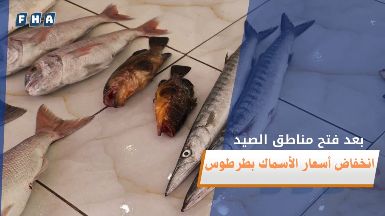 انخفاض أسعار الأسماك في محافظة طرطوس بعد فتح مناطق الصيد التي كان النظام البائد يمنع الصيد فيها