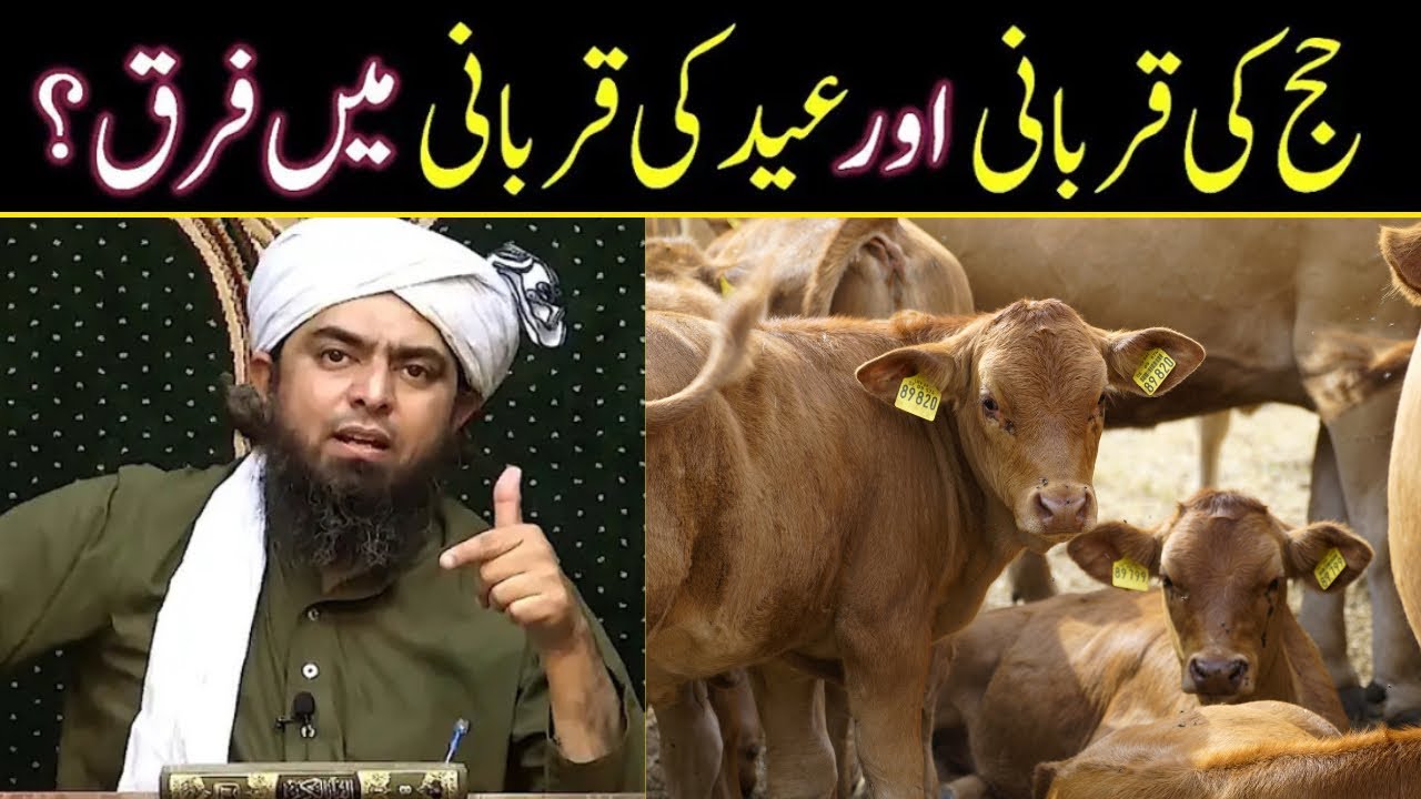 Hajj ki Qurbani aur Eid ki Qurbani mein Fark???Engineer Muhammad Ali Mirza&hellip;.
