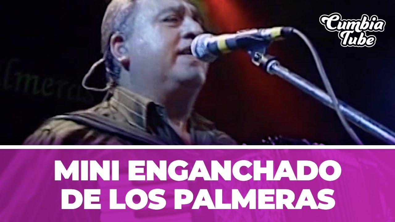 Mini Enganchado De Los Palmeras |Cumbia Tube